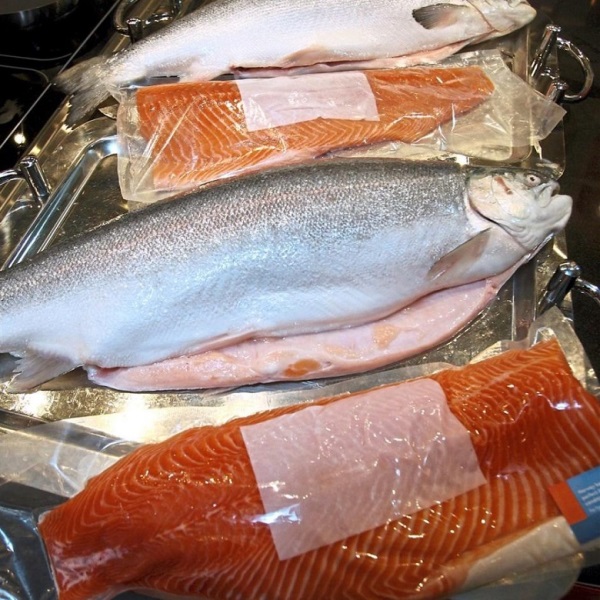 Cá hồi trout và salmon
